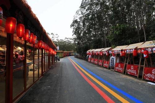 高要娱乐,揭秘热门娱乐资讯，畅享欢乐时光